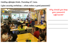 y3-cyber-security